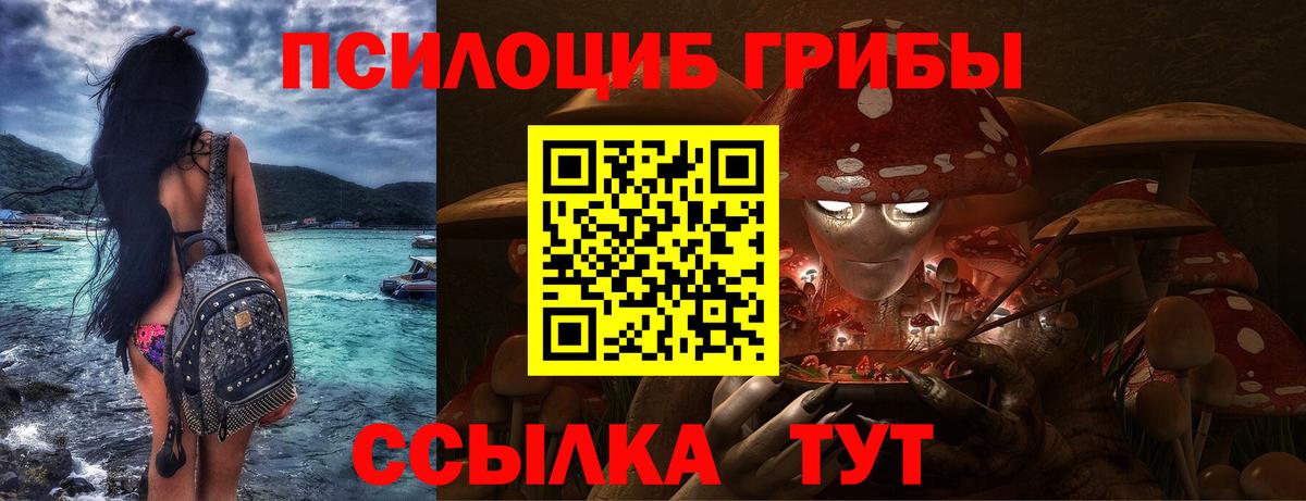 Галлюциногенные грибы GOLDEN TEACHER  Вход с VPN  Ессентуки 