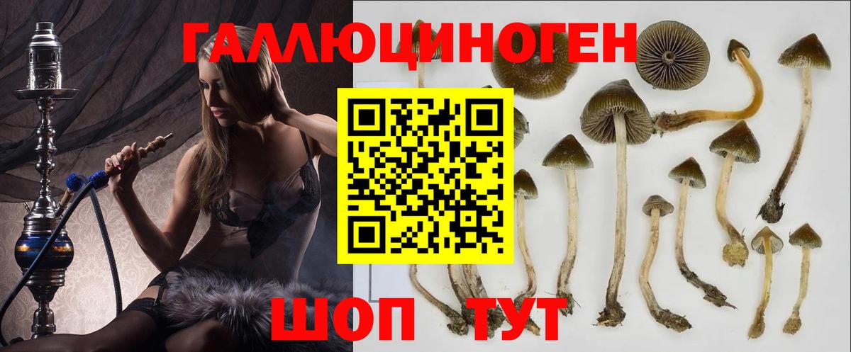 Псилоцибиновые грибы MAGIC MUSHROOMS Ессентуки