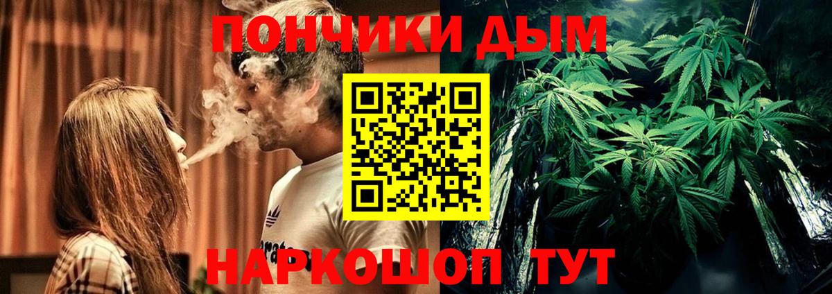 Конопля планчик Ессентуки